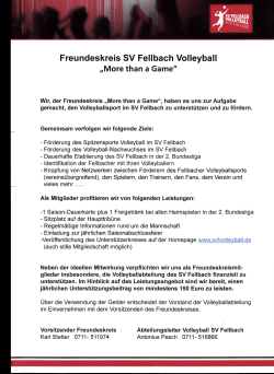 Freundeskreis SV Fellbach Volleyball