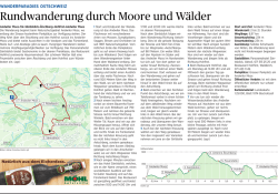 Jetzt herunterladen! - St. Galler Tagblatt