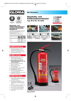Haushaltsfeuerl&ouml;scher