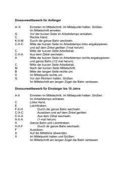 Dressuraufgabe Einsteiger & Anf&auml;nger