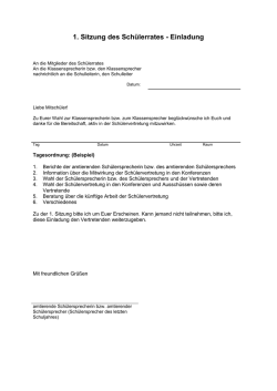 1. Sitzung des Schülerrates
