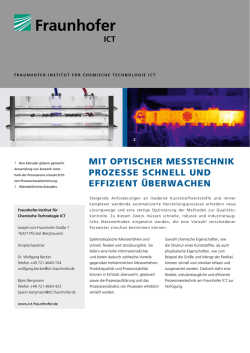 Infoblatt ansehen