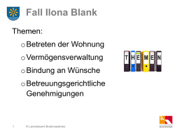 Ilona Blank / L&ouml;sung 2
