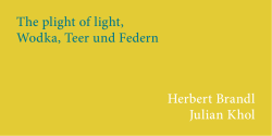 The plight of light, Wodka, Teer und Federn Herbert Brandl Julian Khol