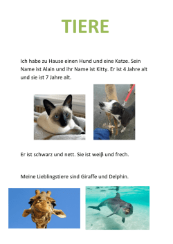 Ich habe zu Hause einen Hund und eine Katze. Sein Name ist Alain