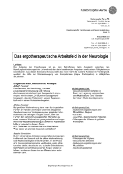 Merkblatt "Das ergotherapeutische Arbeitsfeld in der Neurologie"