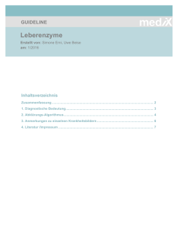 Dokument als PDF herunterladen