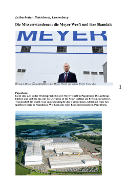 Die Missverstandenen: die Meyer Werft und ihre Skandale