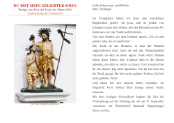 Predigt Fest der Taufe des Herrn (Tauferneuerung der Firmbewerber)