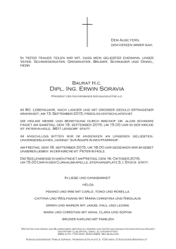Dipl. Ing. Erwin Soravia