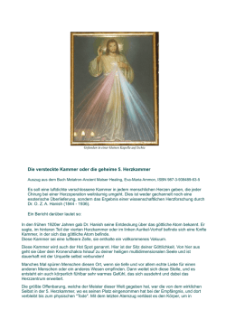 Die versteckte Kammer oder die geheime 5. Herzkammer