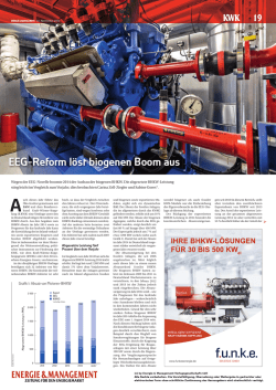 EEG-Reform l&ouml;st biogenen Boom aus