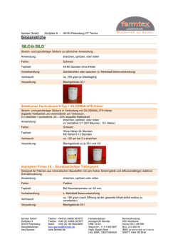 Silosanierung
