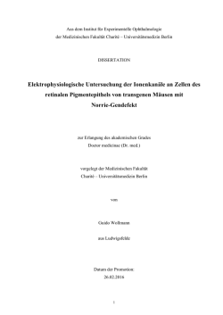Elektrophysiologische Untersuchung der Ionenkanäle an Zellen des