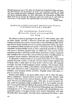 Kleingeﬁedermauser am 8. VII. 1962. Der Wechsel des