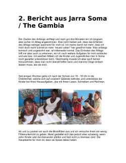 2. Bericht aus Jarra Soma / The Gambia