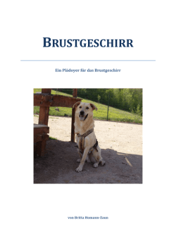 Ein Pl&auml;doyer f&uuml;r das Brustgeschirr - DOG