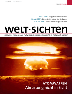 Heft als PDF - Welt