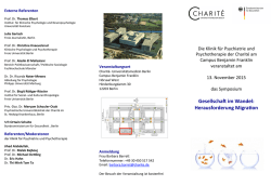 Herausforderung Migration Flyer 0.9 mb