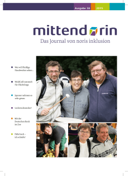 Das Journal von noris inklusion