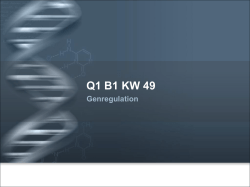 Q1 B1 KW 49