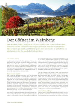 Insight - Chesa Druschauna | Weinbau G&ouml;fis