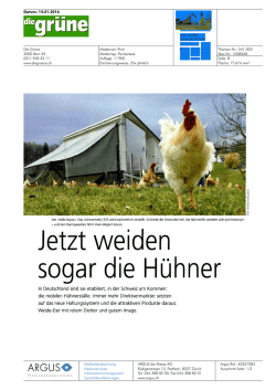 Jetzt weiden sogar die H&uuml;hner