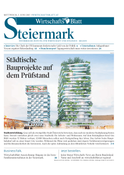 Artikel Wirtschaftsblatt 03.06.2015