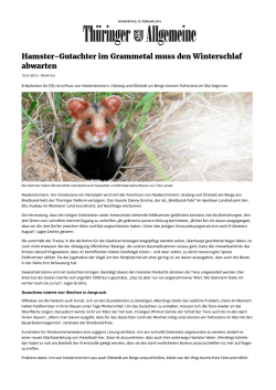 Hamster-Gutachter im Grammetal muss den Winterschlaf abwarten