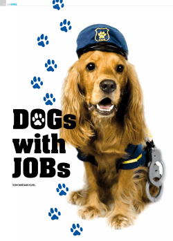 DOGs with JOBs