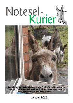 Januar 2016 - Noteselhilfe