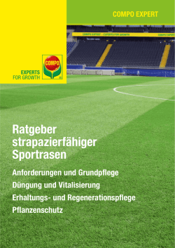 Ratgeber strapazierf&auml;higer Sportrasen