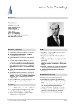 Velum Sales Consulting