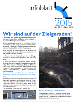 Infoblatt 22
