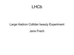 Large Hadron Collider beauty Experiment Jens Frech