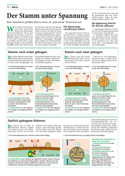 Der Stamm unter Spannung - Die Bayerische Waldbauernschule