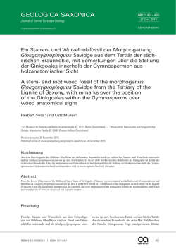 Ein Stamm- und Wurzelholzfossil der Morphogattung