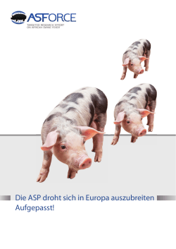Die ASP droht sich in Europa auszubreiten Aufgepasst!