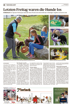 Bericht Ferienpass 15 - Elternverein Erlinsbach