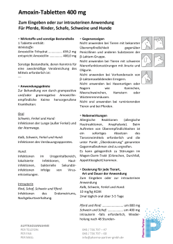 Amoxin-Tabletten 400 mg - Pharma-Partner Vertriebs-GmbH