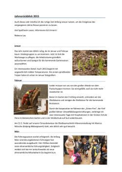 Jahresr&uuml;ckblick 2015