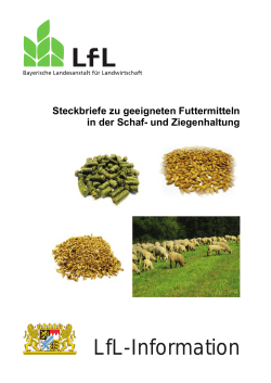 Die Publikation als PDF 3,4 MB - Bayerische Landesanstalt für