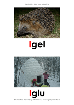 Hamsterkiste &ndash; Bilder, Laute, erste W&ouml;rter &copy; Hamsterkiste