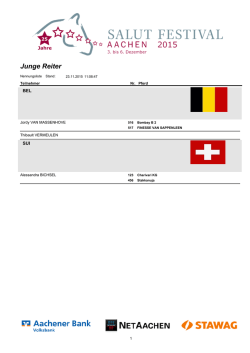 Junge Reiter - Salut