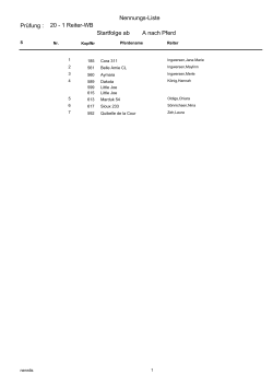 Nennungs-Liste 20 - 1 Reiter-WB - Reit