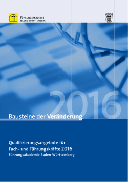 Bausteine der Veränderung. - Führungsakademie Baden