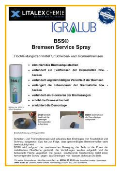BSS® Bremsen Service Spray