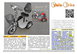 Download: Technische Daten  - Velo