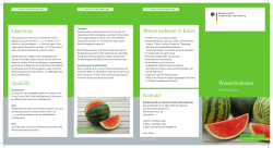 Wassermelonen PDF
