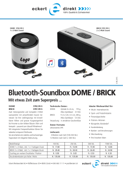 Bluetooth-SoundboxDOME / BRICK
